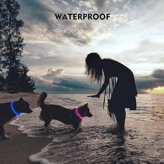 USB Rechargeable LED Dog Collar |High Visibility with 3 Light Modes