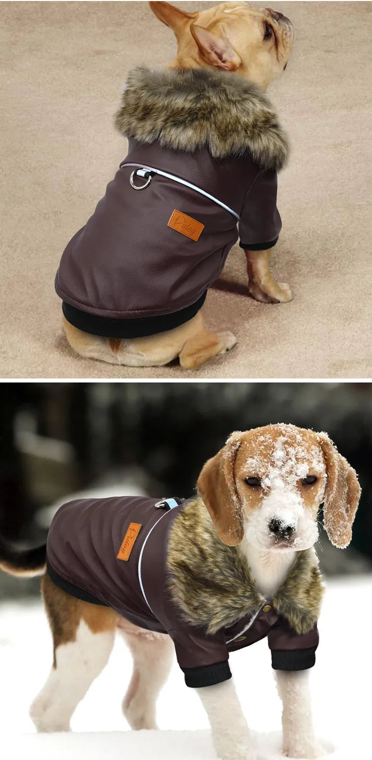 Luxury Fur-Trimmed Leather Jacket For Dogs