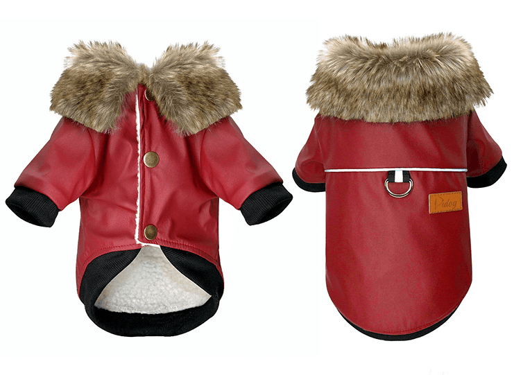 Luxury Fur-Trimmed Leather Jacket For Dogs