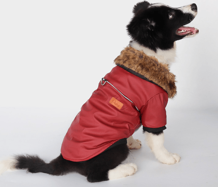 Luxury Fur-Trimmed Leather Jacket For Dogs