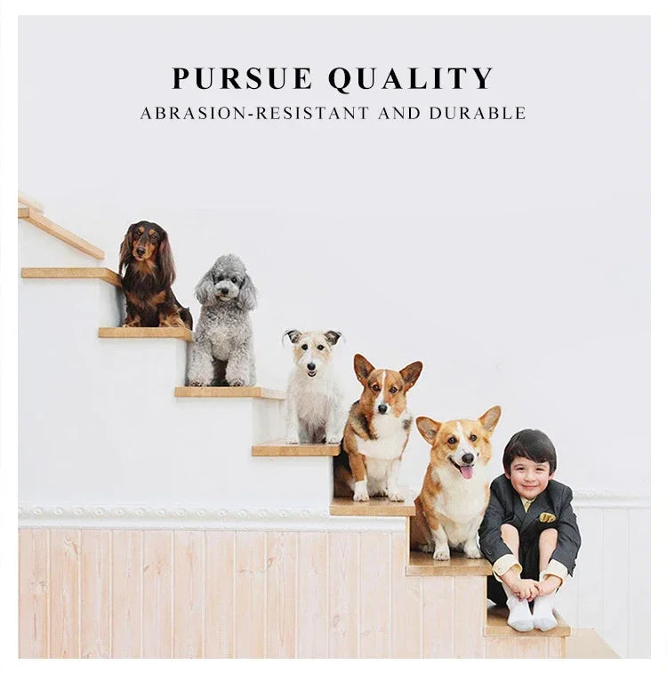 Portable Pet Carrier Bag