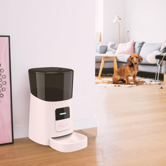 Convenient Clean Pet Feeder